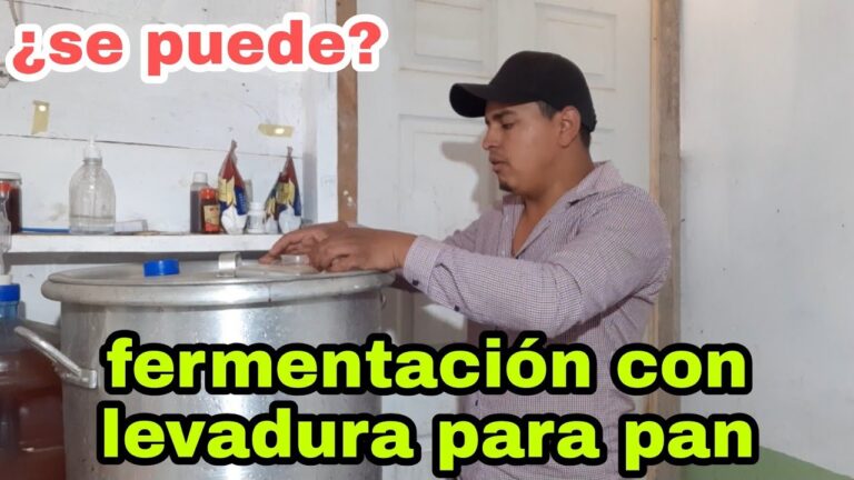 Curso de Hidromieles y Vinos Caseros en Chile
