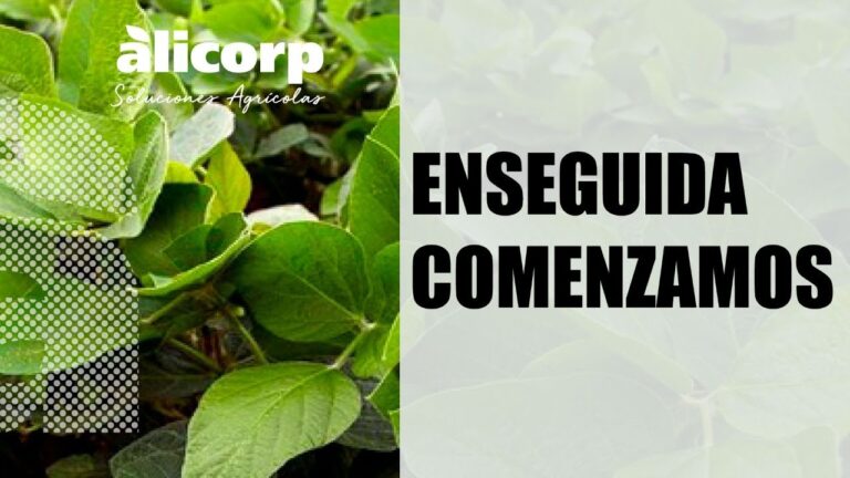 Curso Eficiente de Manejo de Soya en Chile