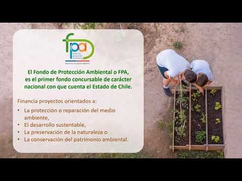 Cursos del Ministerio de Medio Ambiente en Chile: Capacitaci&oacute;n y Oportunidades