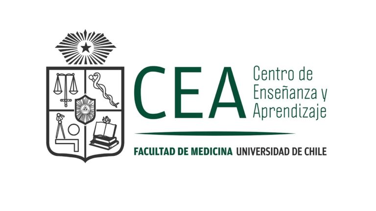 Optimiza tu Aprendizaje en Mi Curso U Chile