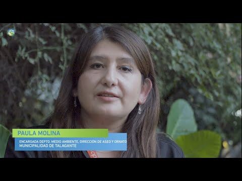 Curso de Apicultura en Talagante, Chile: Aprende y Aplica
