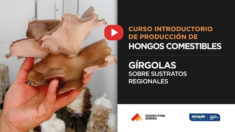 Curso de Hongos en la U de Chile: Explorando la Micolog&iacute;a