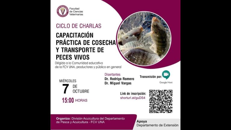 Cursos de Enfermedades en Peces en Chile: Formaci&oacute;n Esencial para Acuicultores