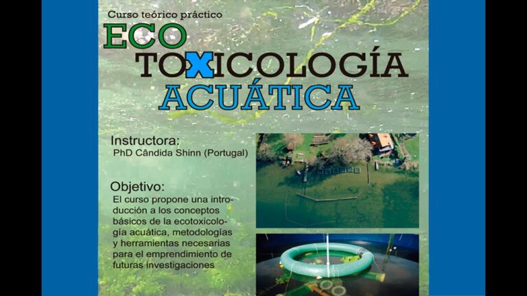 Curso de Plantas Acu&aacute;ticas en Chile: Crecimiento y Cuidado