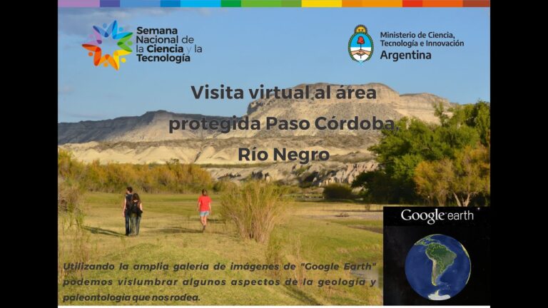 Curso de Paleontolog&iacute;a en la U. de Chile: Malla Curricular Optimizada