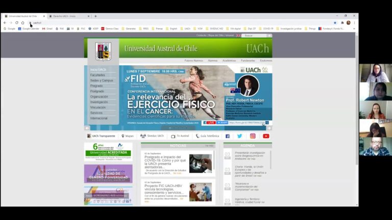 IRA y Su Impacto en los Cursos de la Universidad de Chile