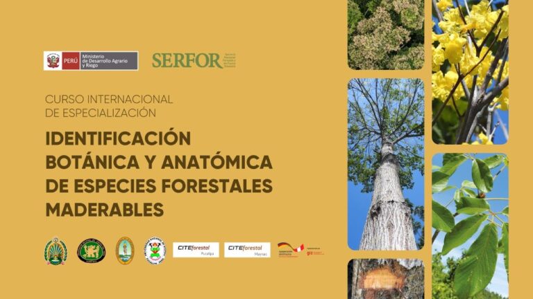 Cursos de Identificaci&oacute;n de Plantas en Chile: Aprendizaje y Conocimiento Natural