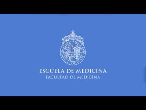 Cursos Efectivos para Combatir la Obesidad en Chile