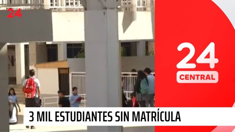 Gu&iacute;a de Cursos Escolares por Edad en Chile