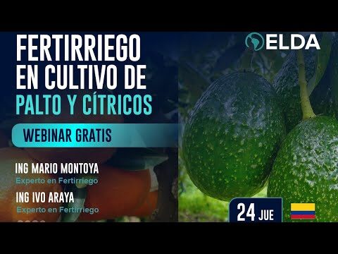 Optimizaci&oacute;n del Fertirriego: Curso Esencial en Chile