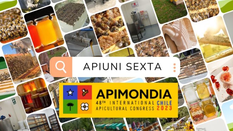 Cursos de Apicultura en la Sexta Regi&oacute;n de Chile