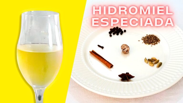 Curso de Preparaci&oacute;n de Hidromiel en Chile: Todo lo que Necesitas Saber