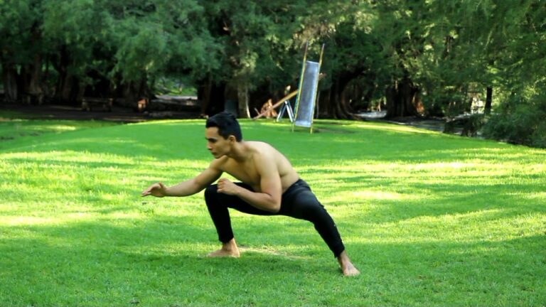 Entrenamiento Funcional Animal Flow en Chile: Curso Optimizado