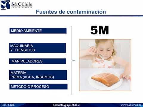 Oportunidades de Cursos de Manufactura en Chile