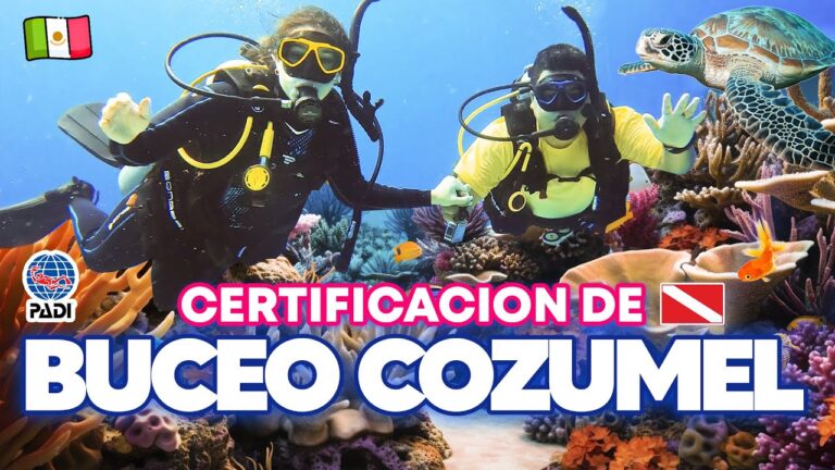 Valor del Curso de Master Scuba Diver en Chile
