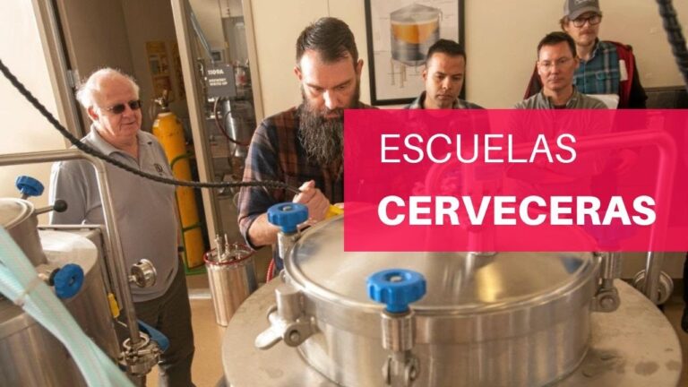 El Mejor Curso Cervecero en Chile: Gu&iacute;a Definitiva