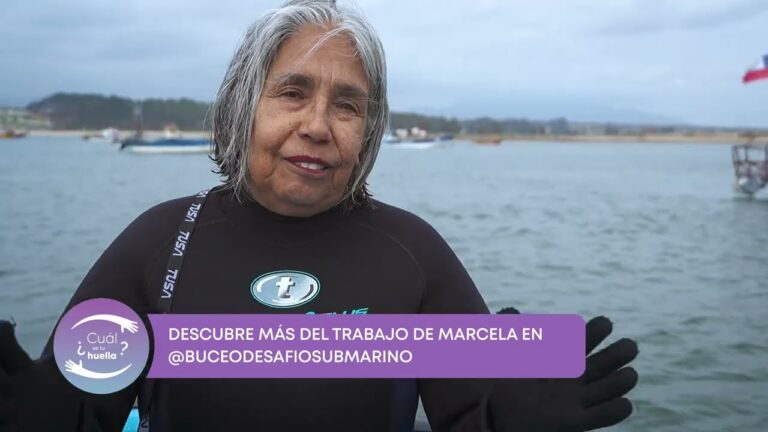 Precios de Cursos PADI Open Water de Buceo en Chile