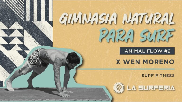 Cursos de Freesurfer en Chile: Dominando la Neuroimagen